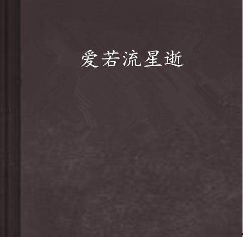 爱若流星,短暂而璀璨的情感轨迹
